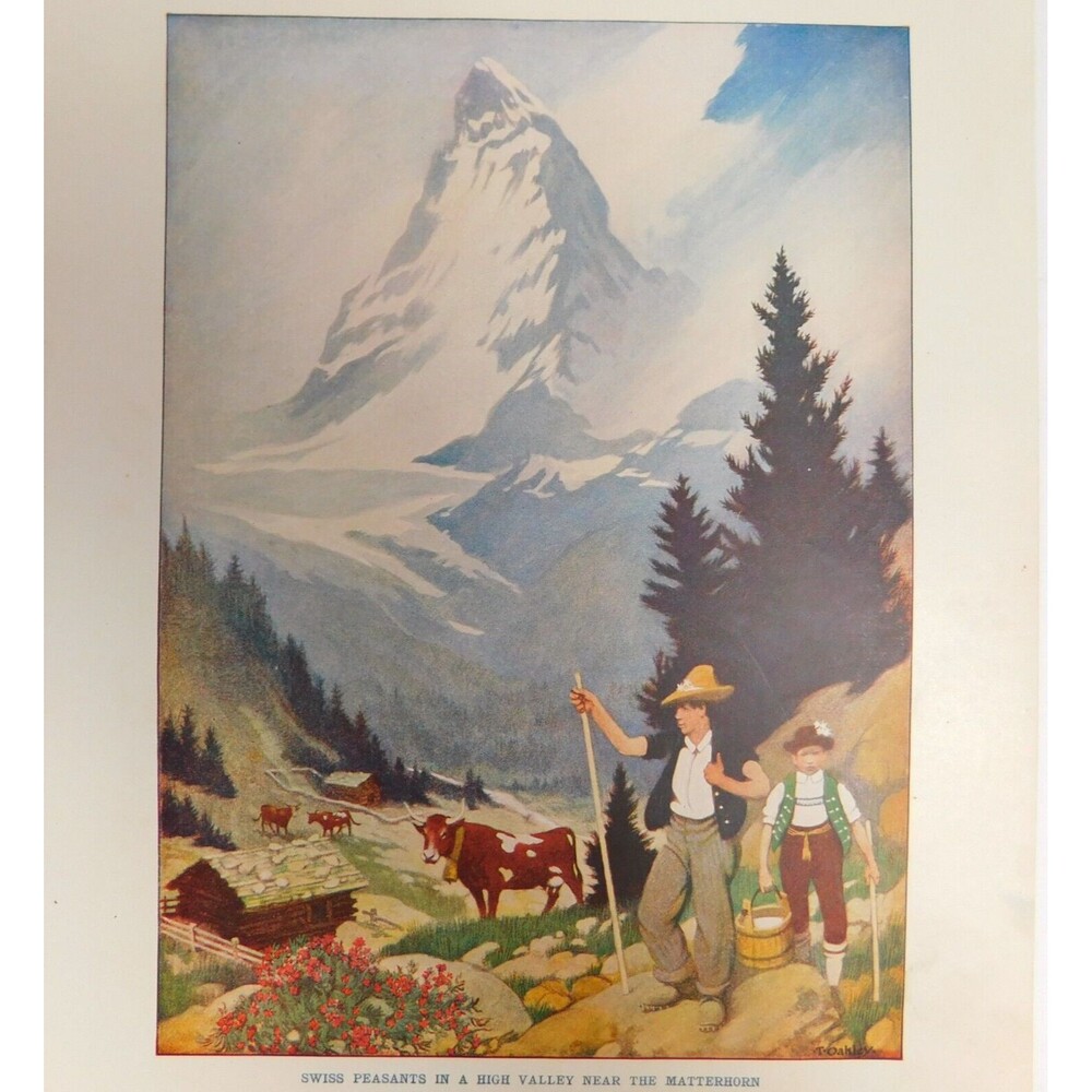 Swiss Art Print Book Page Illustration 10x7.5" Antique 1917 Thornton Oakley GUC